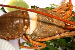 Quán Ăn Lobster - Tôm Hùm Ngon - Đỗ Đức Dục