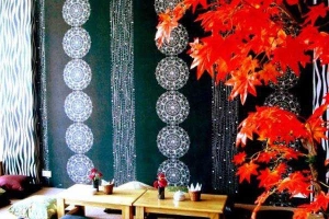 Lotus Cafe