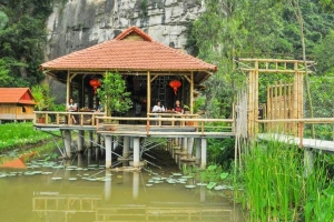 Lotus Field Homestay