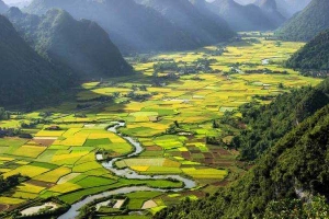 Lữ Hành Việt - Chi Nhánh Trần Vĩ