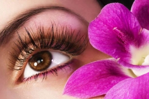Lux Beauty Lashes - Nối Mi Châu Âu