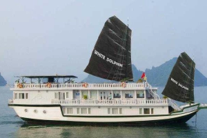 Luxury White Dolphin Cruise - Hòn Gai