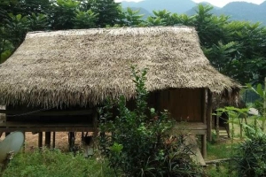 Lý Vân Homestay
