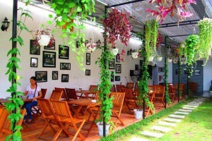 M-Day Cafe - Khách Sạn Cầu Giấy