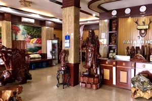 Mai Anh Hotel