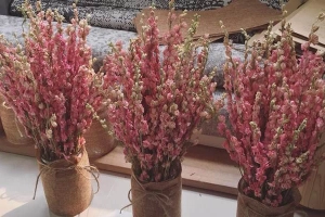 MAX Flower - Hà Nội