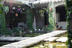 Maya Cafe - Sư Vạn Hạnh