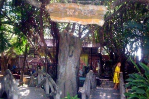 Mê Khúc Cafe - Cafe Sân Vườn