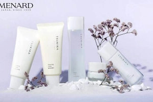 Menard Vietnam - Robins Royal City