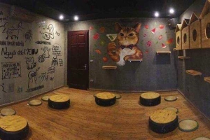 Meow Coffee - Tây Sơn