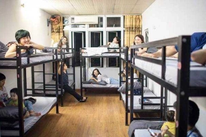 Meow Hostel