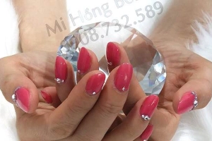 Mi Hồng Beauty