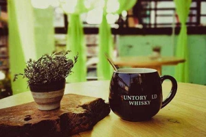 Miêu Cafe & Studio