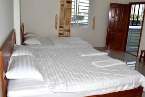 Mimosa Guest House