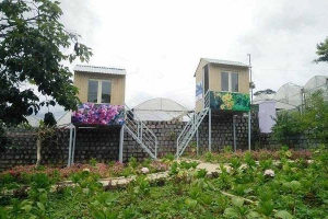 Minh Thư Homestay