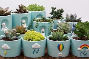 Mini Green Shop