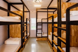 Mintea Hostel