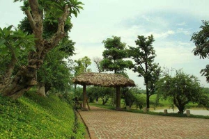Moon Garden Homestay