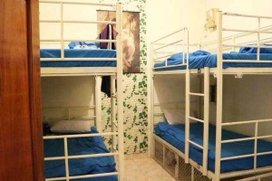 Mr. Peace Backpackers House