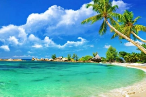 MTV Travel