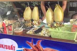 Mực Khổng Lồ - Shop Online