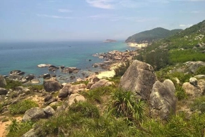 Mũi Vi Rồng