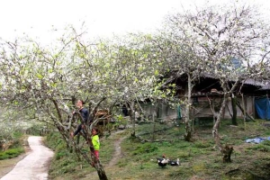 Mường Lống
