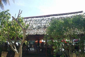 MyMy Lư Cấm Cafe