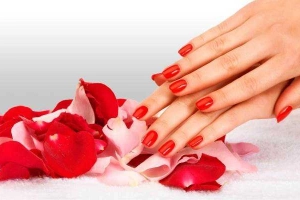 Nail Cô Chủ Nhỏ - Huỳnh Tấn Phát