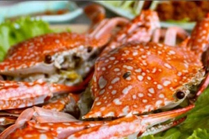 Quán Ăn Năm Lửa 3 - Đường Số 5