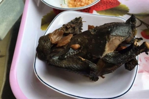 Quán Ăn Nam Phát - Gà Ác Tiềm Thuốc Bắc