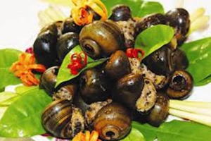 Quán Ăn Nam Sơn - Quách Đình Bảo