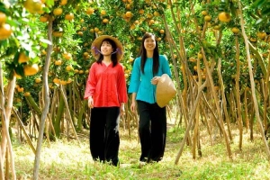 Năm Tuyết - Khu Du Lịch Sinh Thái