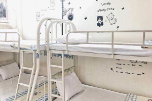 New Dragon Hostel