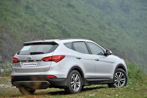 Newland Travel - Dịch Vụ Du Lịch & Thuê Xe Ôtô - Rừng Cọ