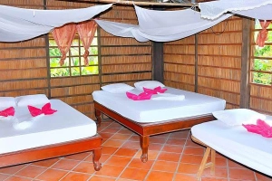 Ngọc Phượng Homestay