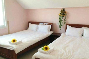 Nguyên Minh Hostel - Hải Thượng