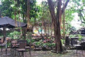 Nguyên Sơ Cafe