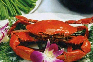 Nhà Hàng An Tâm 2