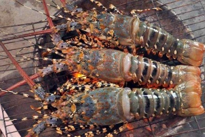 Nhà Hàng Bờ Kè Lobster - Nguyễn Đình Chiểu