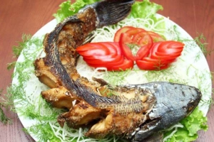 Nhà Hàng Cá Tầm