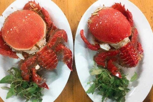 Nhà Hàng Cây Cau - Hải Sản Tươi Sống