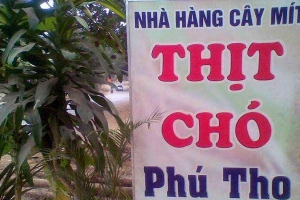 Nhà Hàng Cây Mít - Thịt Chó Phú Thọ