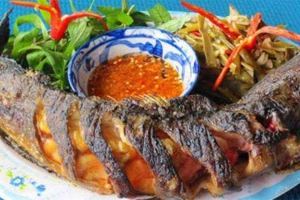 Nhà Hàng Đông Nam - Món Nhậu Đồng Quê