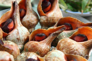 Nhà Hàng Đức Tuấn