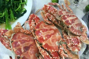 Nhà Hàng Hải Âu - Hải Sản Tươi Sống