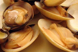 Nhà Hàng Hoa Biển - Đinh Bộ Lĩnh