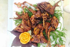 Nhà Hàng Hoa Phượng - Đặc Sản Rừng & Biển