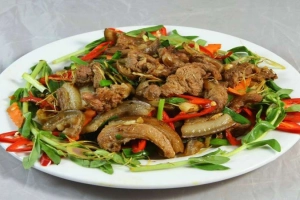 Nhà Hàng Lan Rừng Quán - Đặc Sản Rừng