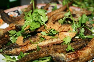 Nhà Hàng Làng Nướng Phượng Anh - Mai Hắc Đế